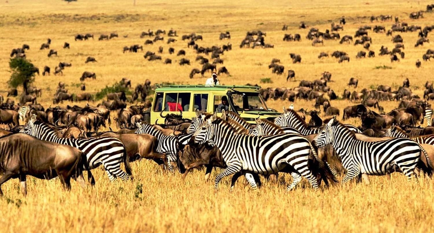 12 Days Arusha Tarangire Safari