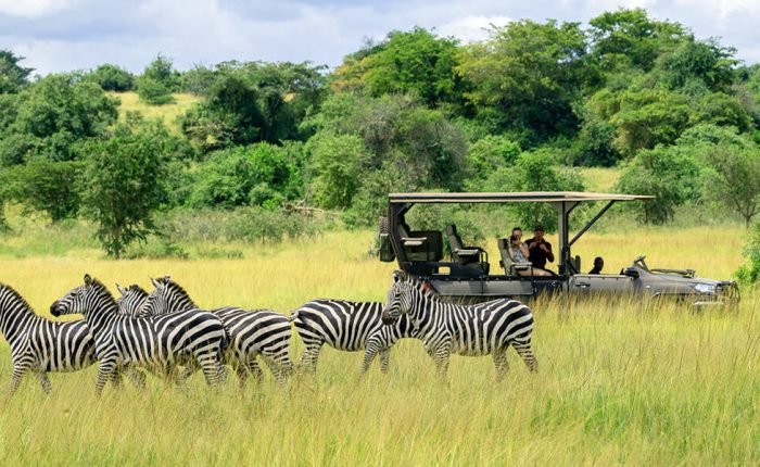 1 Day Akagera National Park