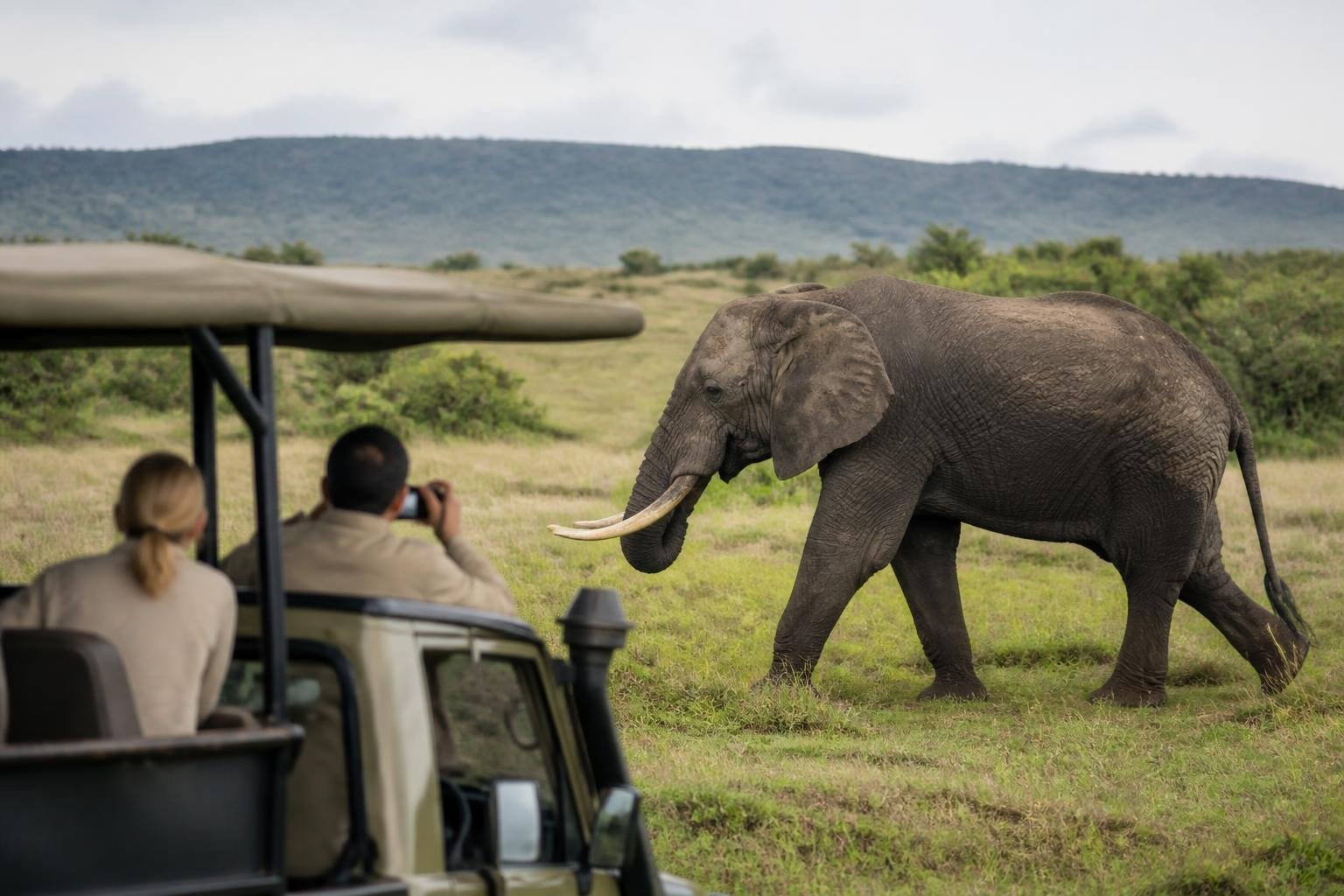 Safari Tours: Your Complete Guide to East Africa Adventures